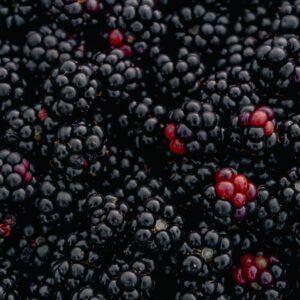 A detailed view of ripe blackberries at an outdoor market in Oghuz, Azerbaijan.